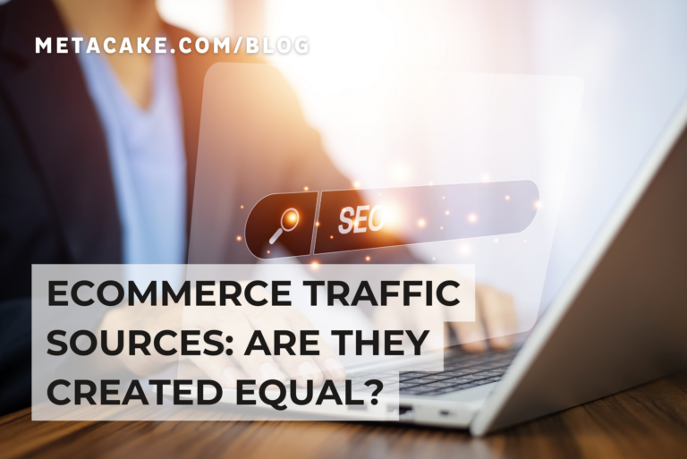 Person using ecommerce traffic sources.