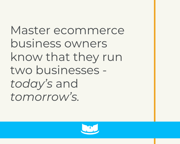 Graphic #2: Master Ecommerce Business Owners Know They Run Two Businesses