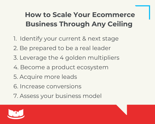 Graphic #1: How to Scale Your Ecommerce Business Through Any Ceiling